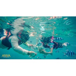 Snorkeling Trip A