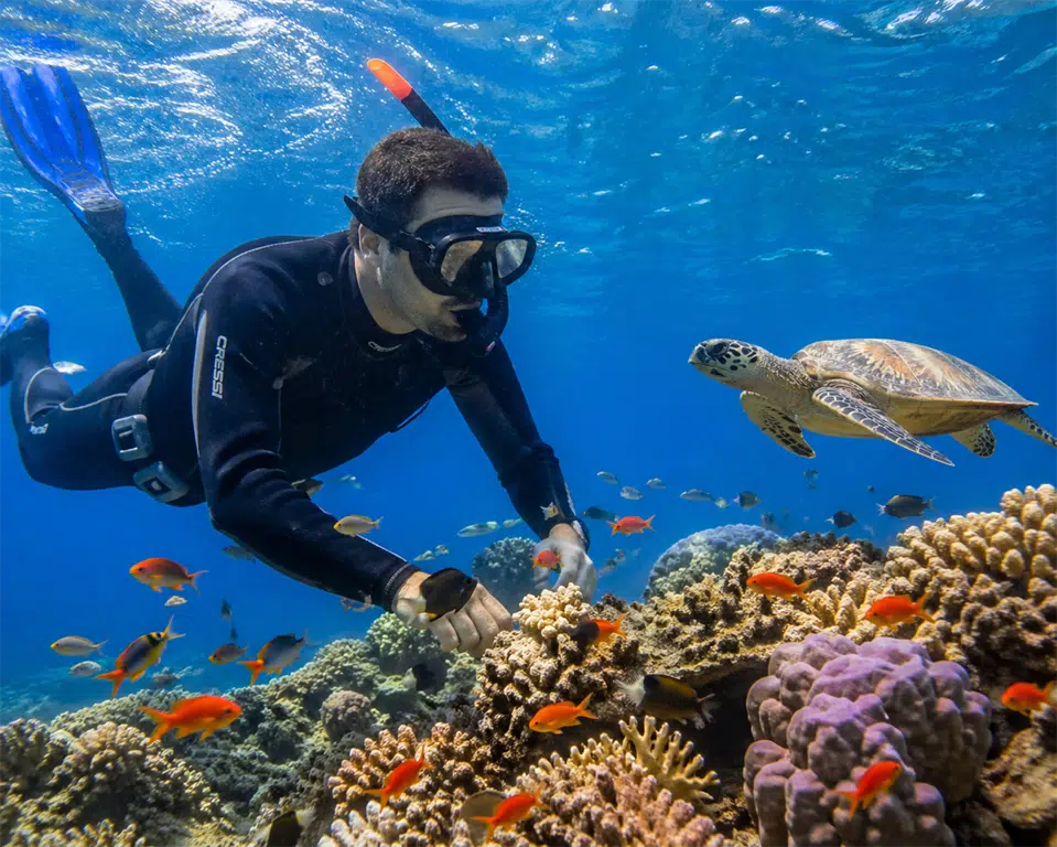 special-offers image